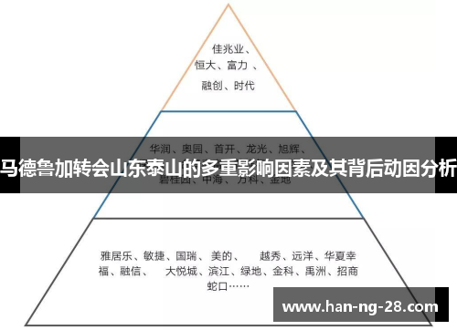马德鲁加转会山东泰山的多重影响因素及其背后动因分析