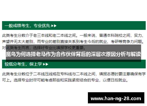 魔鸟为何选择老马作为合作伙伴背后的深层次原因分析与解读