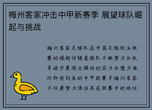 梅州客家冲击中甲新赛季 展望球队崛起与挑战